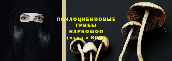 кокс Козловка