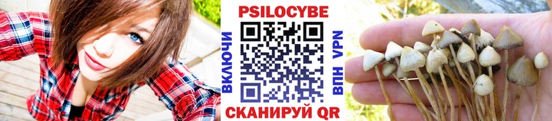 где найти наркотики  мега сайт  Псилоцибиновые грибы мухоморы  Кимры 